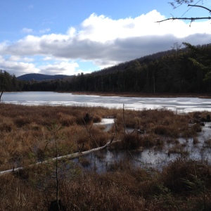 Winter light, a little ice and snow dust at Goose Pond. Photo by Jelane A. Kennedy